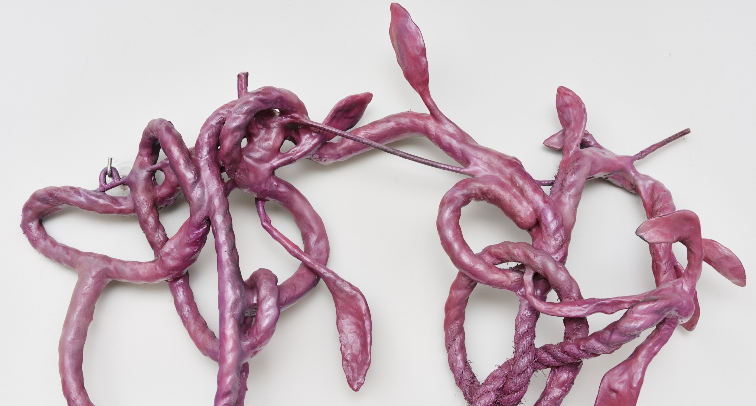 dsg_page-site2025-bayo2.jpg