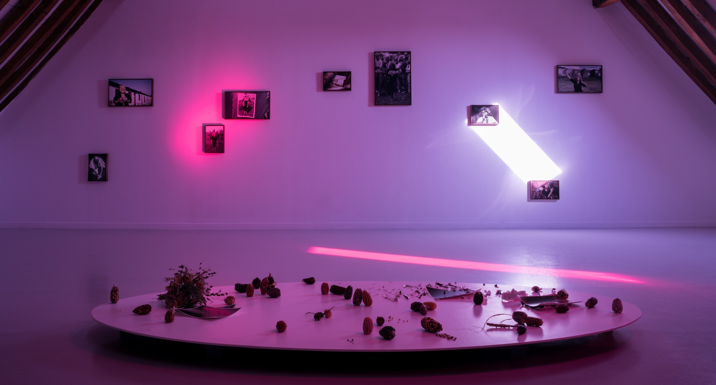 vir-andres-hera.-snake-chamber.-2025.-installation-view-at-_tactical-specters_-la-ferme-du-buisson.-emile-ouroumov.jpg